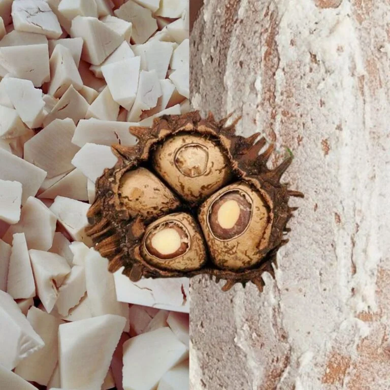 blue modern quote linkedin post (2)